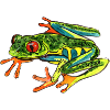frog