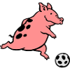 Schwein spielt Fußball