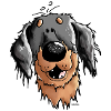 Hovawart – Hovi – Dog – Shirt Design
