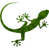 green lizard