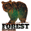 Outdoor Forest- Bear