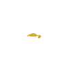 platypus