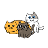 Cat funny gift