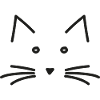 Chat chaton doux