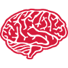 Brain