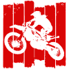 Boards with motocross design
