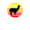 Lama d’alpaga
