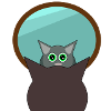 🐱CAT🐱