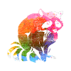 racoon