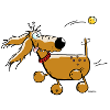 "Reingefallen" - Hund - Dackel - Flyball