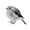 Robin sw