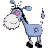 Funny little Donkey - Donkeys