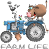 Funny farm - farm life
