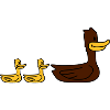 Duck Family