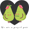 Perfect Pair