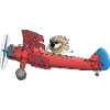 Cute lion in the plane