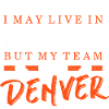 Denver Football Fans Germany