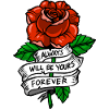rose