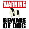 Attention, menton japonais, attention, chien