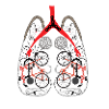 Cyclist's lungs made of bicycle parts