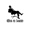 like a boss