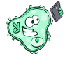 Cellfie