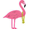 Ghetto Flamingo