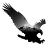 Eagle on the mountain