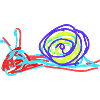 Snail Nudibranch