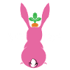 My bunny