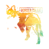 Border Collie polygon