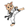 Chat de Karaté