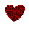 Roses heart