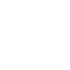 Roller Coaster Addict