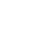 DISC JOCKEY