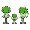 Broccoli family
