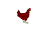 chicken