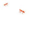 ant