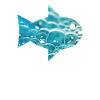 Poisson - poisson