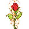 rose