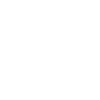 Wing chun