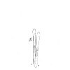 Ski