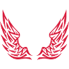 aile wings voler aille 10072