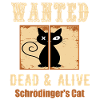 Schrodinger's Cat - Funny Science Design