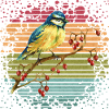 Bird titmouse