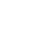 ship's captain