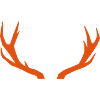 Antler deer