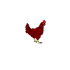 chicken