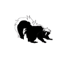skunk