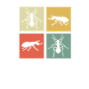 ant